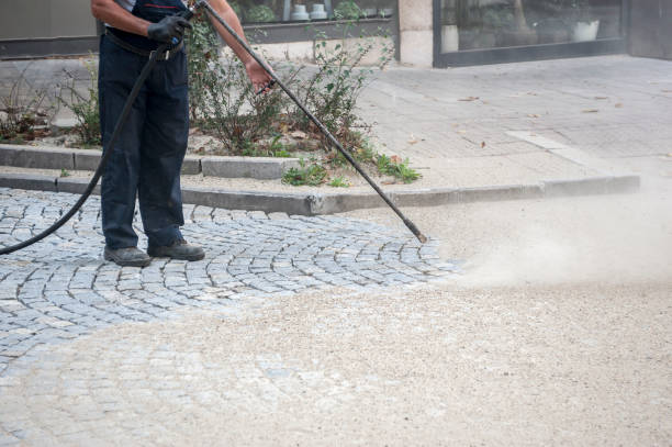 Animal Enclosure Cleaning in Jersey City, NJ